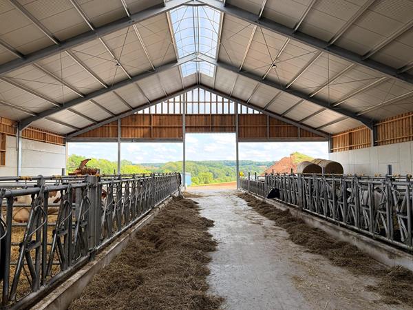 Étable vaches laitière et silos couloirs à Buschrodt