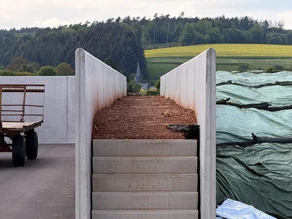 Étable vaches laitière et silos couloirs à Buschrodt