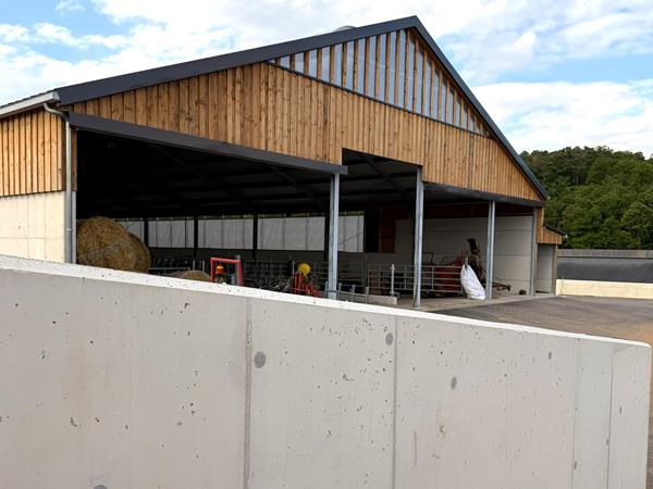 Étable vaches laitière et silos couloirs à Buschrodt