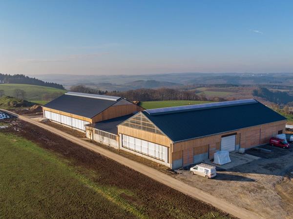 Étable moderne pour vaches laitières (84 x 45m) à Bockholtz