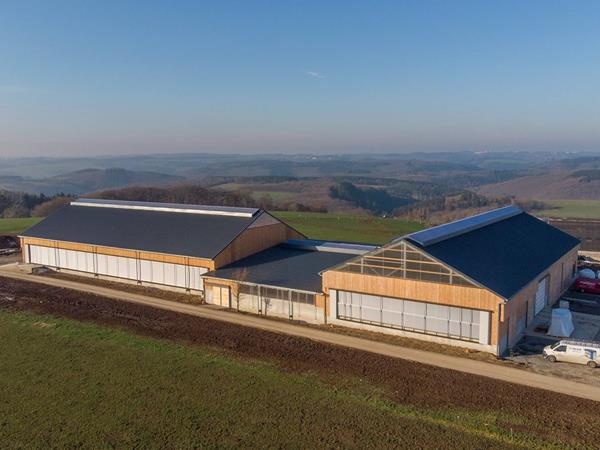 Étable moderne pour vaches laitières (84 x 45m) à Bockholtz