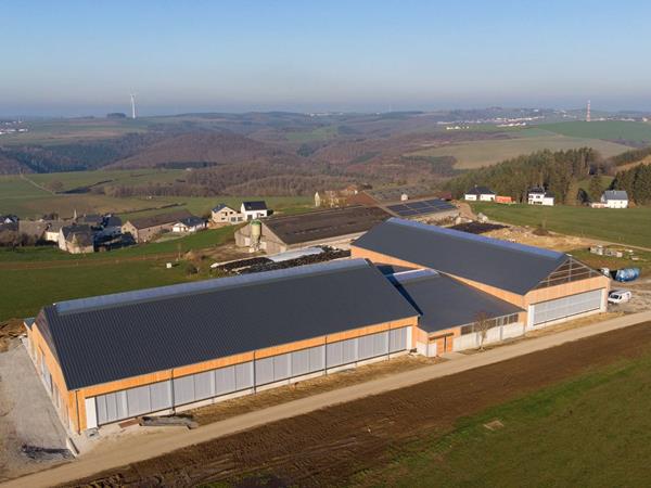 Étable moderne pour vaches laitières (84 x 45m) à Bockholtz