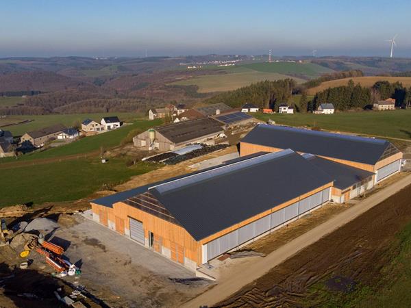 Étable moderne pour vaches laitières (84 x 45m) à Bockholtz