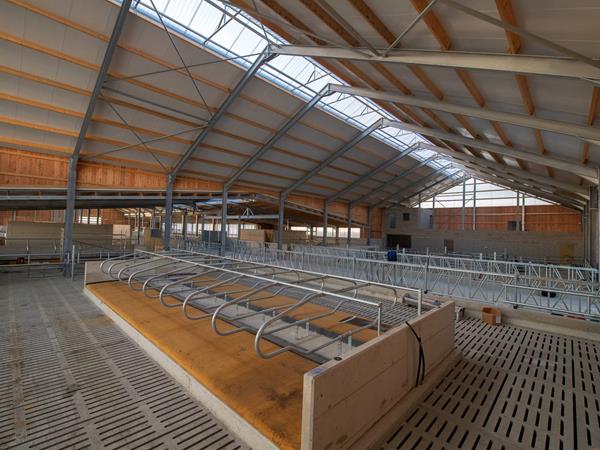 Étable moderne pour vaches laitières (84 x 45m) à Bockholtz