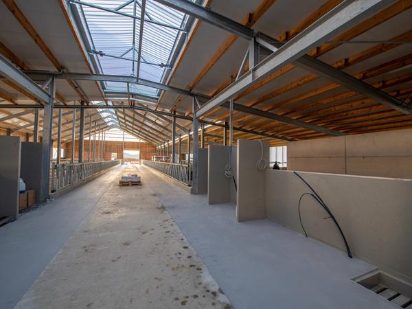 Étable moderne pour vaches laitières (84 x 45m) à Bockholtz