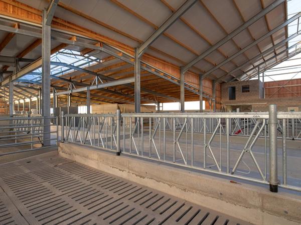 Étable moderne pour vaches laitières (84 x 45m) à Bockholtz